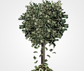 I'm Not a Money Plant!