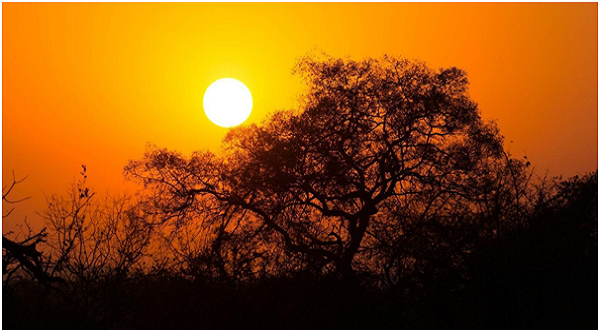 Sunrise in Kruger National Park