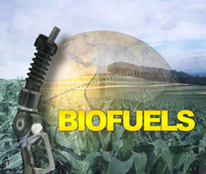 biofuel, what is biofuel, biodiesel
