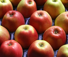 Foods to Boost Immunity