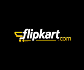 flipkart, VC, tiger global management, e-commerce, VC, investment, book