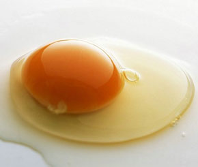 Cholesterol Inducing Foods To Avoid