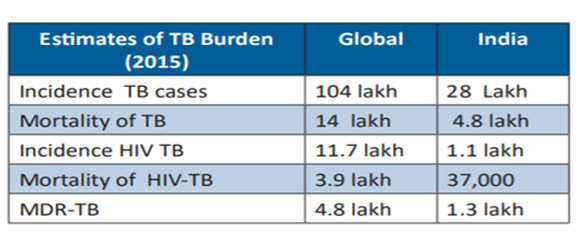 Estimates of TB Burden