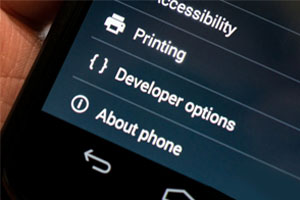 Android Developer Option