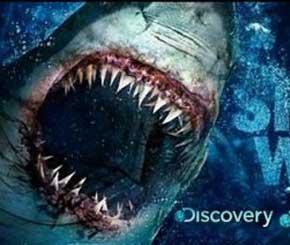Discovery Channel