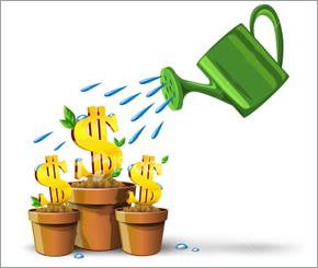 5 Tips for NRI's Investing in India