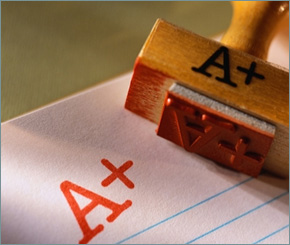 Worst Partners For Your Start-Up