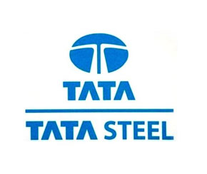 tata, steel, tata steel, india, tax, corus