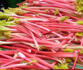 rhubarb
