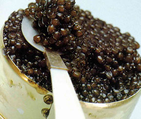 Cholesterol Inducing Foods To Avoid