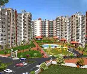 Common Financial Dilemmas And How to Resolve Them