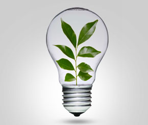 Most Promising Startup Opportunities