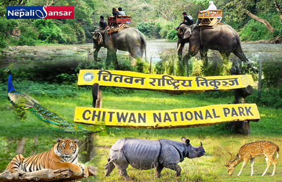 Chitwan national park