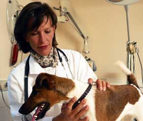 Bills You Must Negotiate