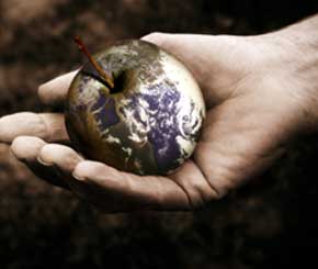 The Great Branding Strategies For Startups, emotional part