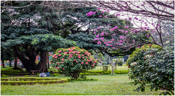 Welcome Spring by Visiting 5 Fascinating Places in Bangalore