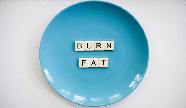 5 Tips To Lose Weight Without Exercise