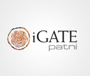 patni, patni computers, igate, igate patni, general atlantic, narendra patni, apax partners