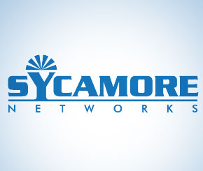 The Man Behind Sycamore