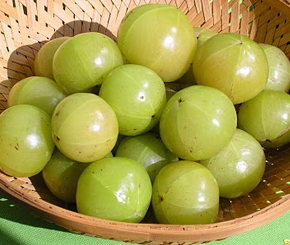 Gooseberry