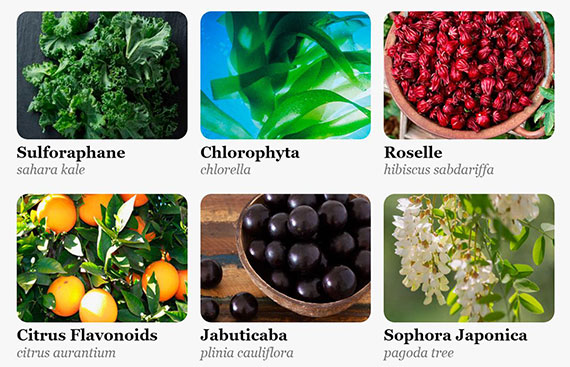 Dentavim Dental Health Support Reviews - What are Customers Saying from Around the World?