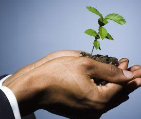 Questions You Must Ask Your Life Insurance Agent