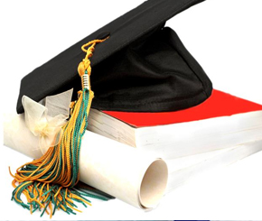 professional education