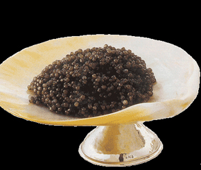 top 10 banned foods around the world