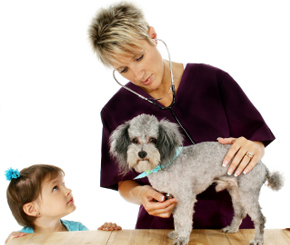 5 Tips to Save Money on Pets