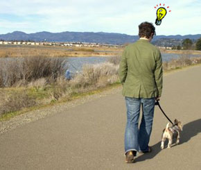 Weird places where people get business ideas