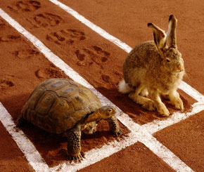how to avoid burnout as a startup, be a tortoise than a rabbit