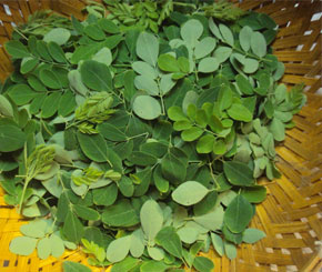 Healthy Fruits and Vegetables You Aren\'t Eating