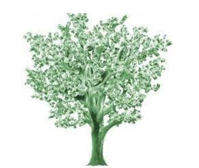 4 Tips to Boost your Cash Reserves