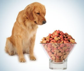 4 things to Avoid Buying in a Supermarket