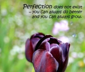 Perfection does not exist