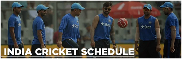 Team India has a hectic cricket schedule for next 12 months