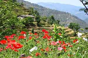 Chamba Valley