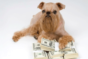 pet care expense