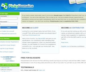 PickyDomain, Crowdsourcing site, Helps business grow