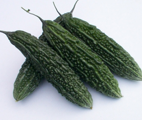 Bitter Gourd