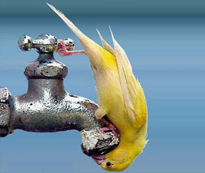 How to Avoid Competition on Prices?