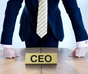 COMPLEXITY OF THE JOB SURPRISES CEOS