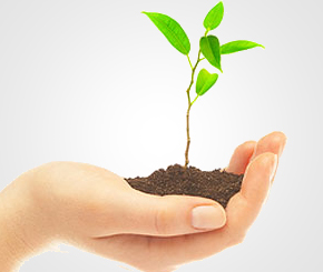 environment consulting, top industry