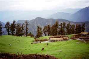 Chopta