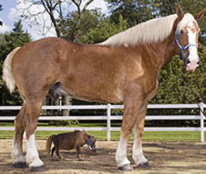 Thumbelina and Radar