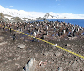 Street View in Antarctica