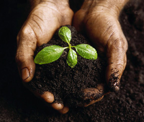 How to Safeguard your Workforce from Recession