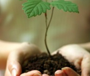 Startup Trends that You should Know