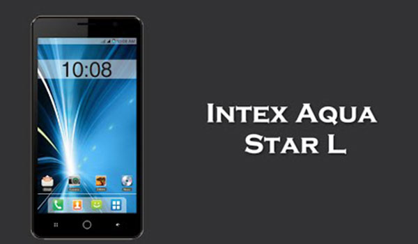 Intex