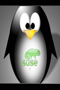 SUSE Linux Enterprise 11 SP2 Released